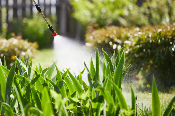 24/7 Emergency Termite Control experts in Brentwood, PA