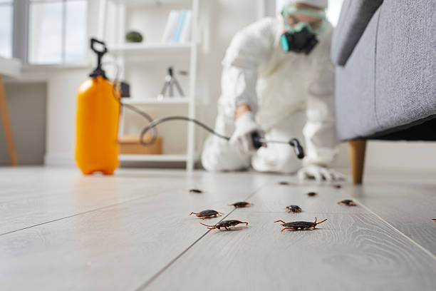 Trusted Termite Control service in Brentwood, PA - Nex Pest Control